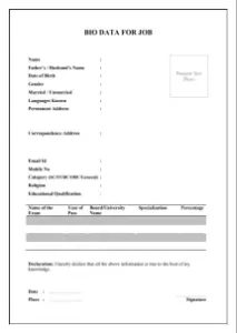 bio data form simple 8