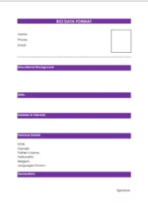 bio data format resume